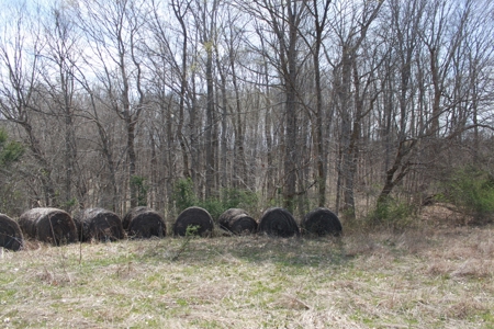 Hunting, Recreational, Cattle Farm, Timber & Land For Sale - image 12