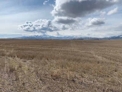 Court Ordered Auction of Potato Farm Land Bannock Co Idaho - image 37
