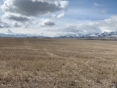 Court Ordered Auction of Potato Farm Land Bannock Co Idaho - image 36