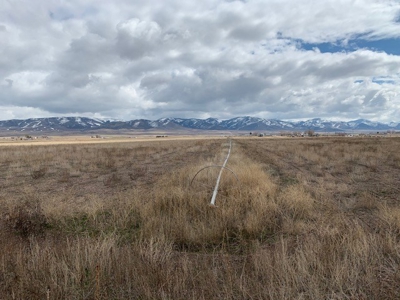 Court Ordered Auction of Potato Farm Land Bannock Co Idaho - image 39