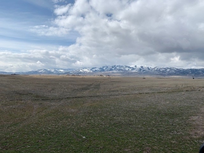 Court Ordered Auction of Potato Farm Land Bannock Co Idaho - image 22