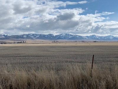 Court Ordered Auction of Potato Farm Land Bannock Co Idaho - image 32