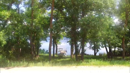 Lake Home Auction / Clitherall Area Lake Property - image 2