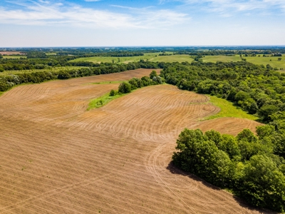 AUCTION Tillable Farm with Hunting Potential in Macon Co MO - image 8
