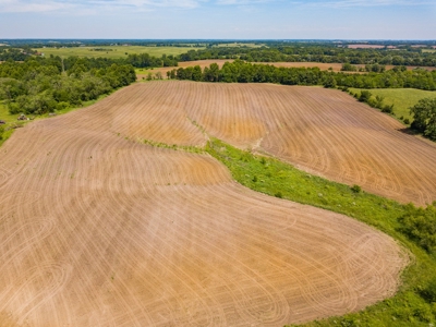 AUCTION Tillable Farm with Hunting Potential in Macon Co MO - image 5