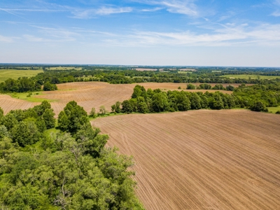 AUCTION Tillable Farm with Hunting Potential in Macon Co MO - image 3