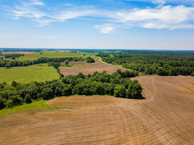AUCTION Tillable Farm with Hunting Potential in Macon Co MO - image 15