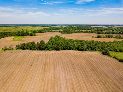 AUCTION Tillable Farm with Hunting Potential in Macon Co MO - image 6