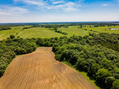 AUCTION Tillable Farm with Hunting Potential in Macon Co MO - image 10