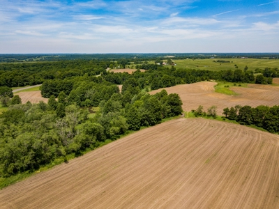 AUCTION Tillable Farm with Hunting Potential in Macon Co MO - image 7