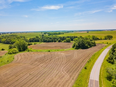 AUCTION Tillable Farm with Hunting Potential in Macon Co MO - image 2