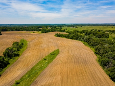 AUCTION Tillable Farm with Hunting Potential in Macon Co MO - image 12