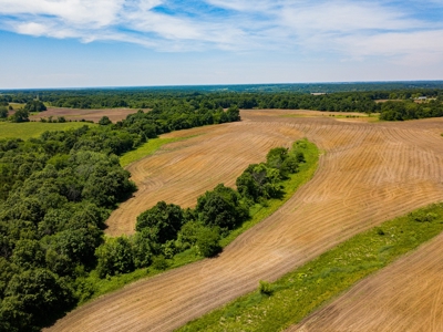 AUCTION Tillable Farm with Hunting Potential in Macon Co MO - image 11