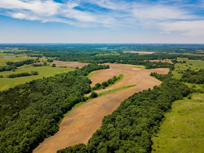 AUCTION Tillable Farm with Hunting Potential in Macon Co MO - image 13