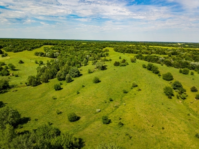 Live Auction - Pasture Farm with Hunting Macon Co MO - image 8