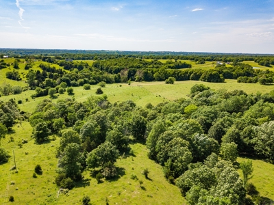 Live Auction - Pasture Farm with Hunting Macon Co MO - image 10