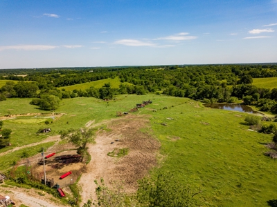 Live Auction - Pasture Farm with Hunting Macon Co MO - image 4
