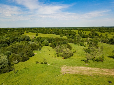 Live Auction - Pasture Farm with Hunting Macon Co MO - image 3