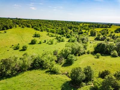 Live Auction - Pasture Farm with Hunting Macon Co MO - image 13