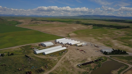 Court Ordered Potato Farm Land Auction Online & Live Auction - image 5
