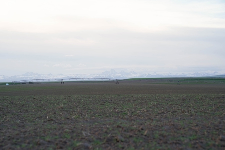 Court Ordered Potato Farm Land Auction Online & Live Auction - image 9