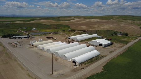 Court Ordered Potato Farm Land Auction Online & Live Auction - image 3
