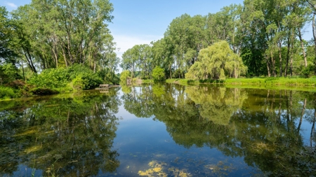 Marquette County Multi Parcel LIVE Auction on Log Home and A - image 46