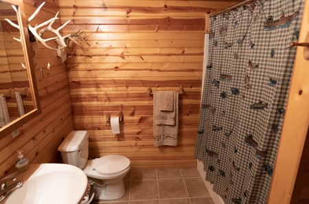 Marquette County Multi Parcel LIVE Auction on Log Home and A - image 15