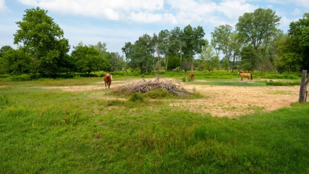 Marquette County Multi Parcel LIVE Auction on Log Home and A - image 39