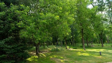 Marquette County Multi Parcel LIVE Auction on Log Home and A - image 36