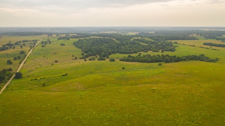 Farm & Ranch For Sale in Cedar County, MO - Auction - image 40