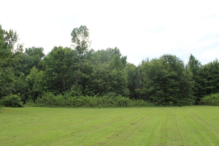 Warren County Home & 13 Acres For Sale @ Auction in 2 Tracts - image 6