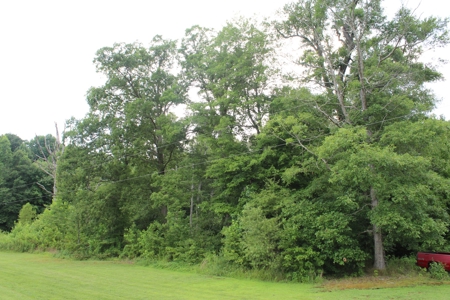 Warren County Home & 13 Acres For Sale @ Auction in 2 Tracts - image 19