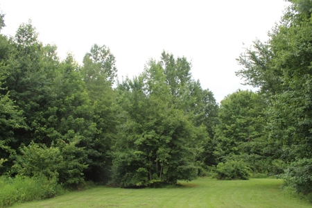 Warren County Home & 13 Acres For Sale @ Auction in 2 Tracts - image 24