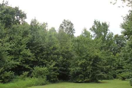 Warren County Home & 13 Acres For Sale @ Auction in 2 Tracts - image 22