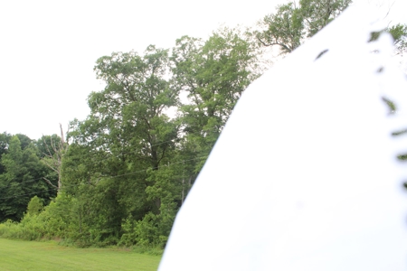 Warren County Home & 13 Acres For Sale @ Auction in 2 Tracts - image 18