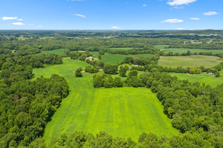 Warren County Home & 65 Acres For Sale in 11 Tracts @Auction - image 2