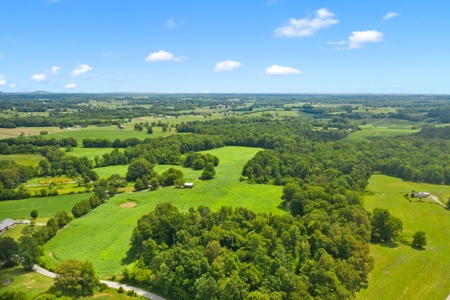 Warren County Home & 65 Acres For Sale in 11 Tracts @Auction - image 6
