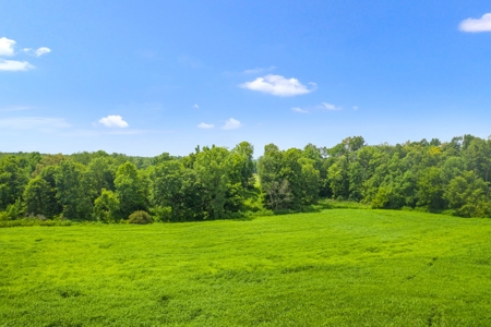 Warren County Home & 65 Acres For Sale in 11 Tracts @Auction - image 14