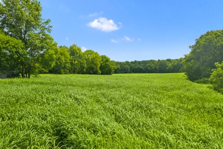 Warren County Home & 65 Acres For Sale in 11 Tracts @Auction - image 15