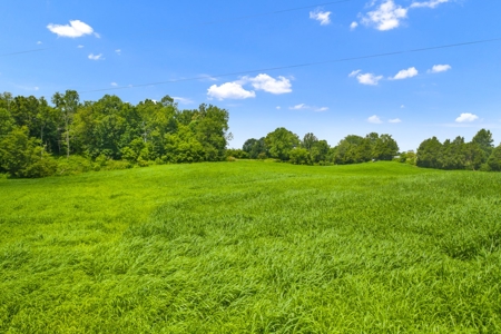 Warren County Home & 65 Acres For Sale in 11 Tracts @Auction - image 16