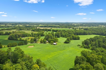 Warren County Home & 65 Acres For Sale in 11 Tracts @Auction - image 7