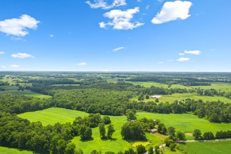 Warren County Home & 65 Acres For Sale in 11 Tracts @Auction - image 3
