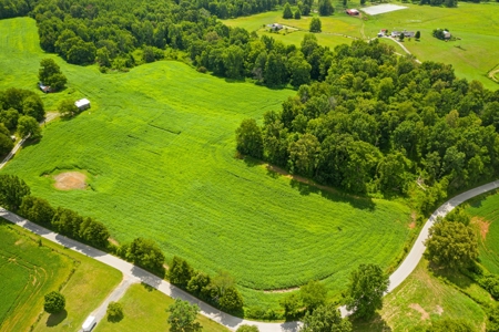 Warren County Home & 65 Acres For Sale in 11 Tracts @Auction - image 5