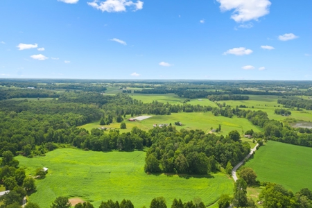 Warren County Home & 65 Acres For Sale in 11 Tracts @Auction - image 4