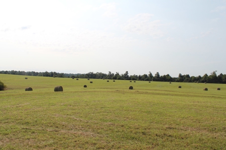 Land Auction -Crop, Pasture, Building & Hunting for Sale - image 25