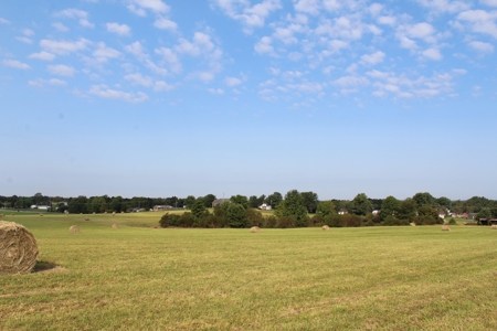 Land Auction -Crop, Pasture, Building & Hunting for Sale - image 8