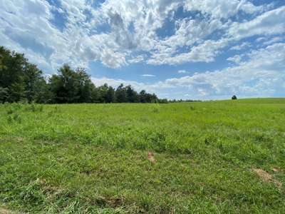 Land Auction -Crop, Pasture, Building & Hunting for Sale - image 5
