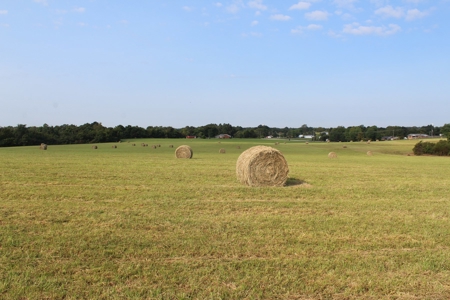 Land Auction -Crop, Pasture, Building & Hunting for Sale - image 7