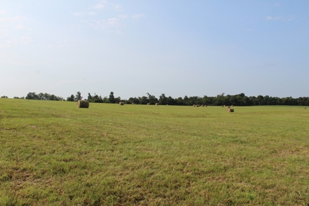 Land Auction -Crop, Pasture, Building & Hunting for Sale - image 20